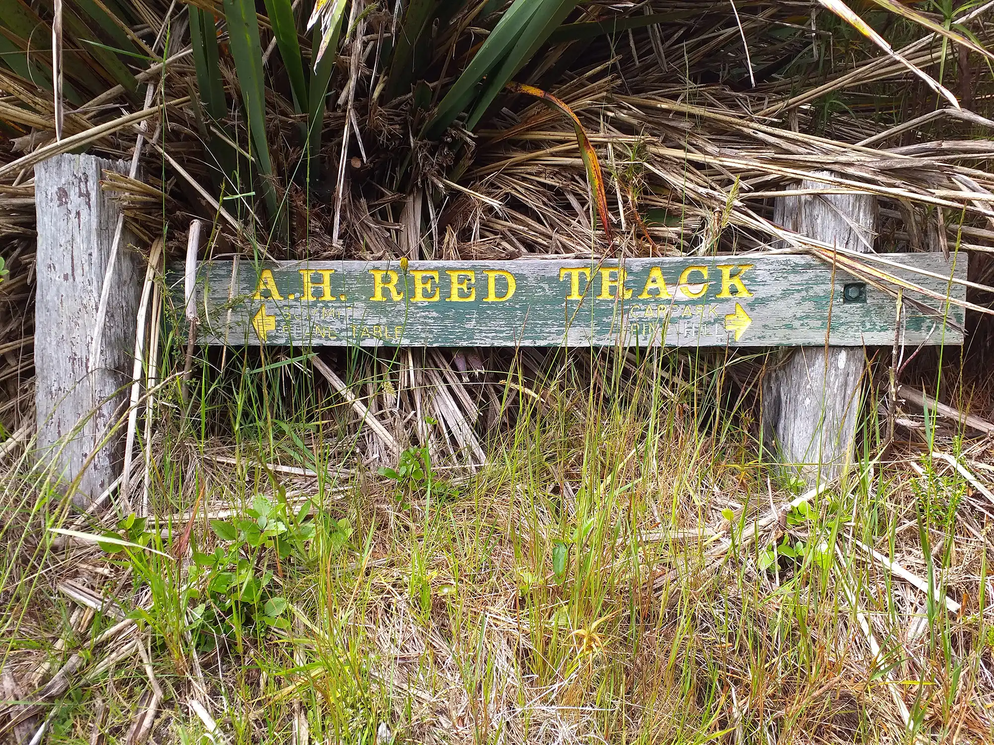 A.H. Reed Track sign in 2025. Photograph by Shiobhan Smith.