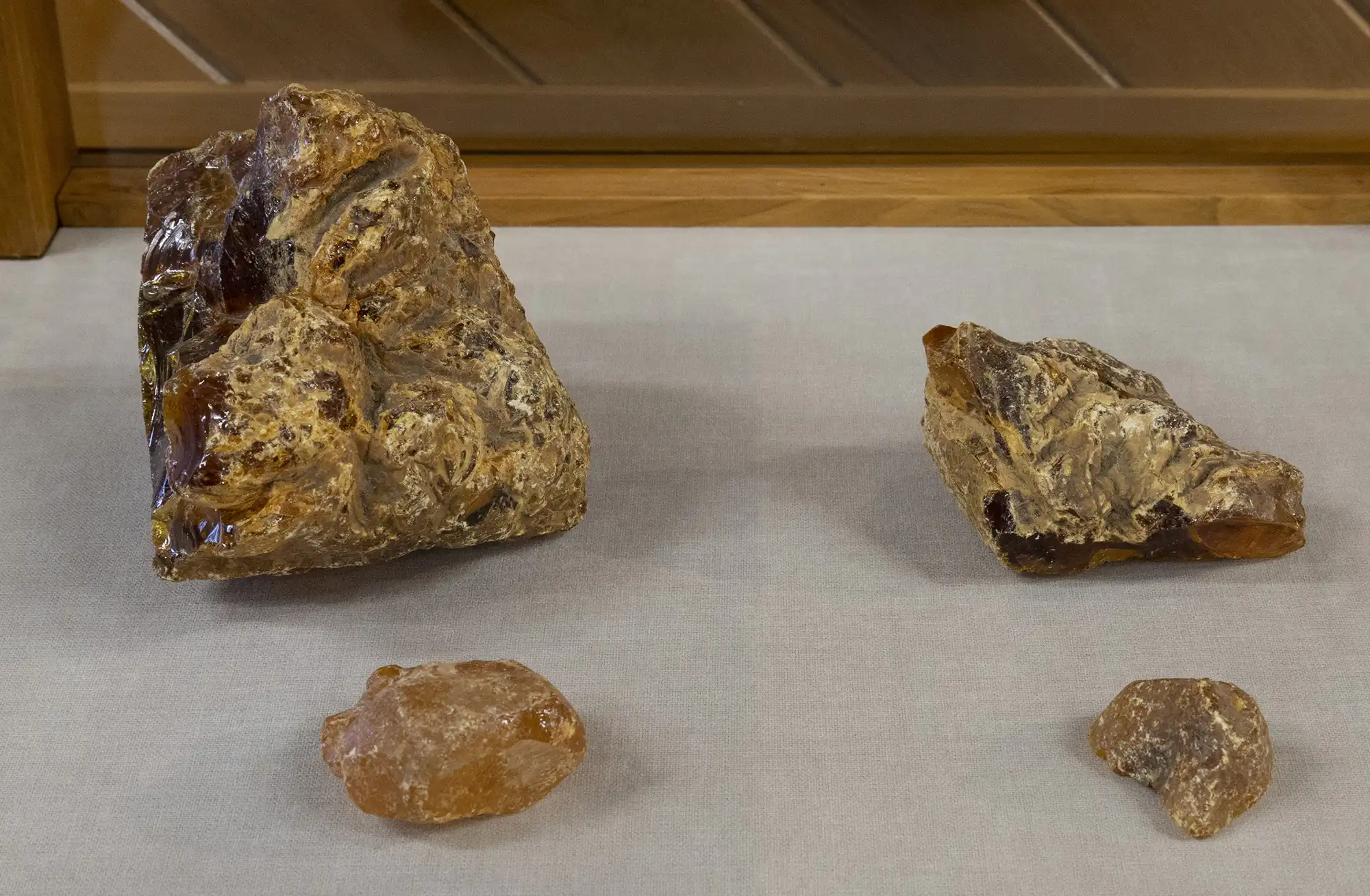 Specimens of kauri gum dug and collected by A.H. Reed during his early years near Whangarei (1887-1895).