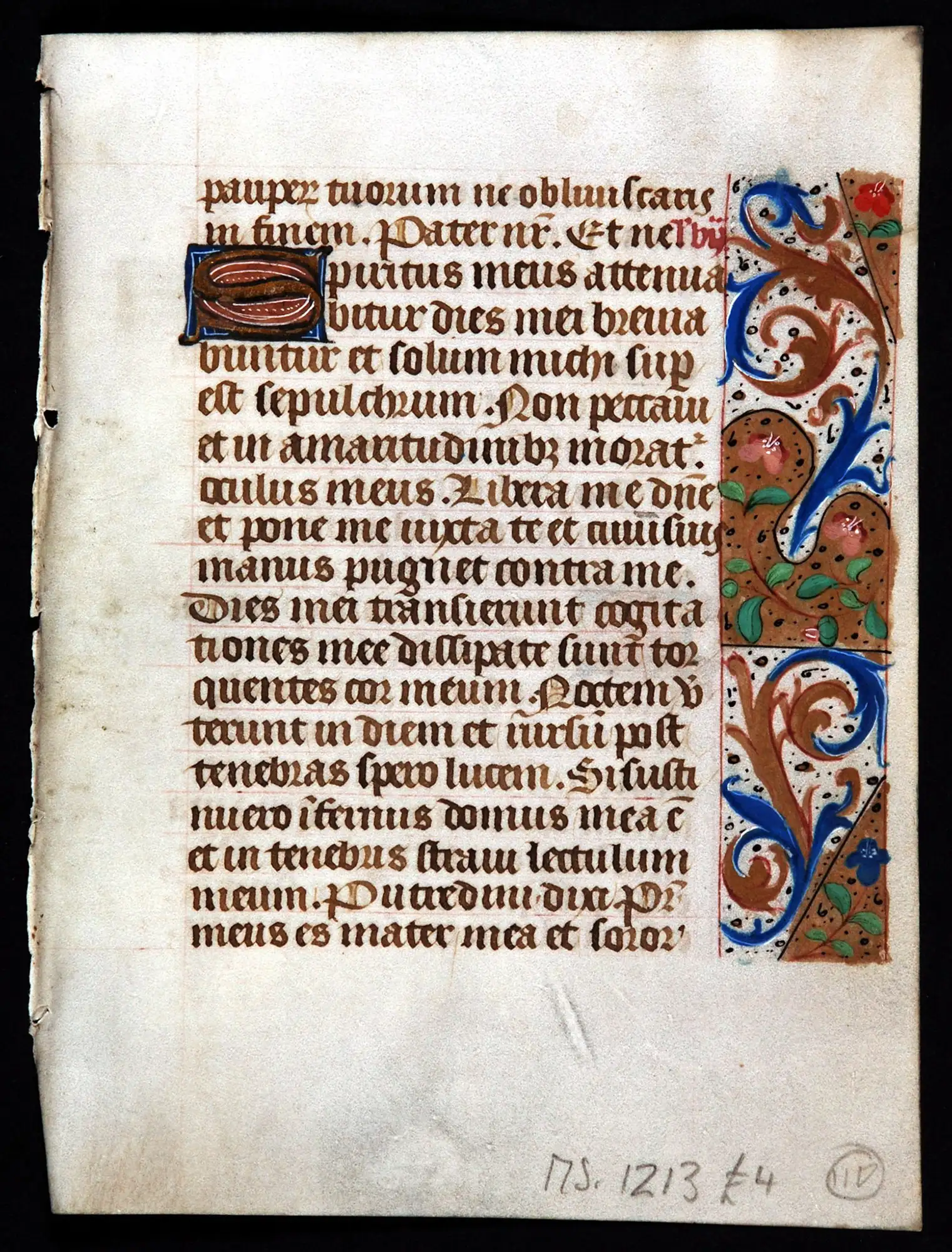 Single leaf from a Book of Hours, in Latin. France (Paris), late fifteenth century. Reed MSF33.