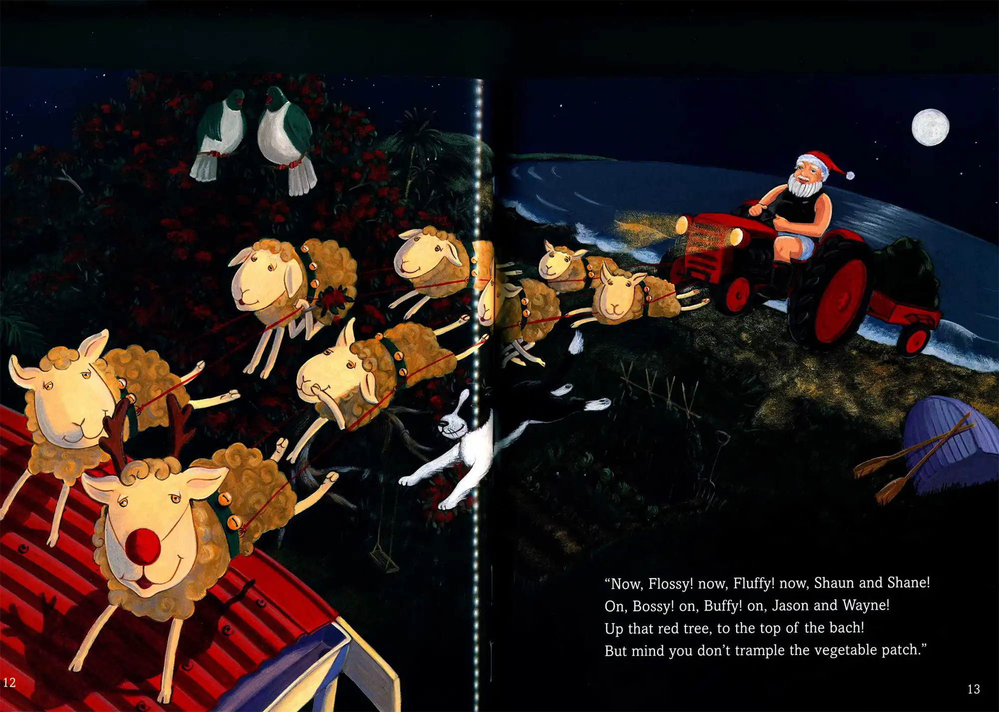 Yvonne Morrison. A kiwi night before Christmas. Auckland: Scholastic, 2003.