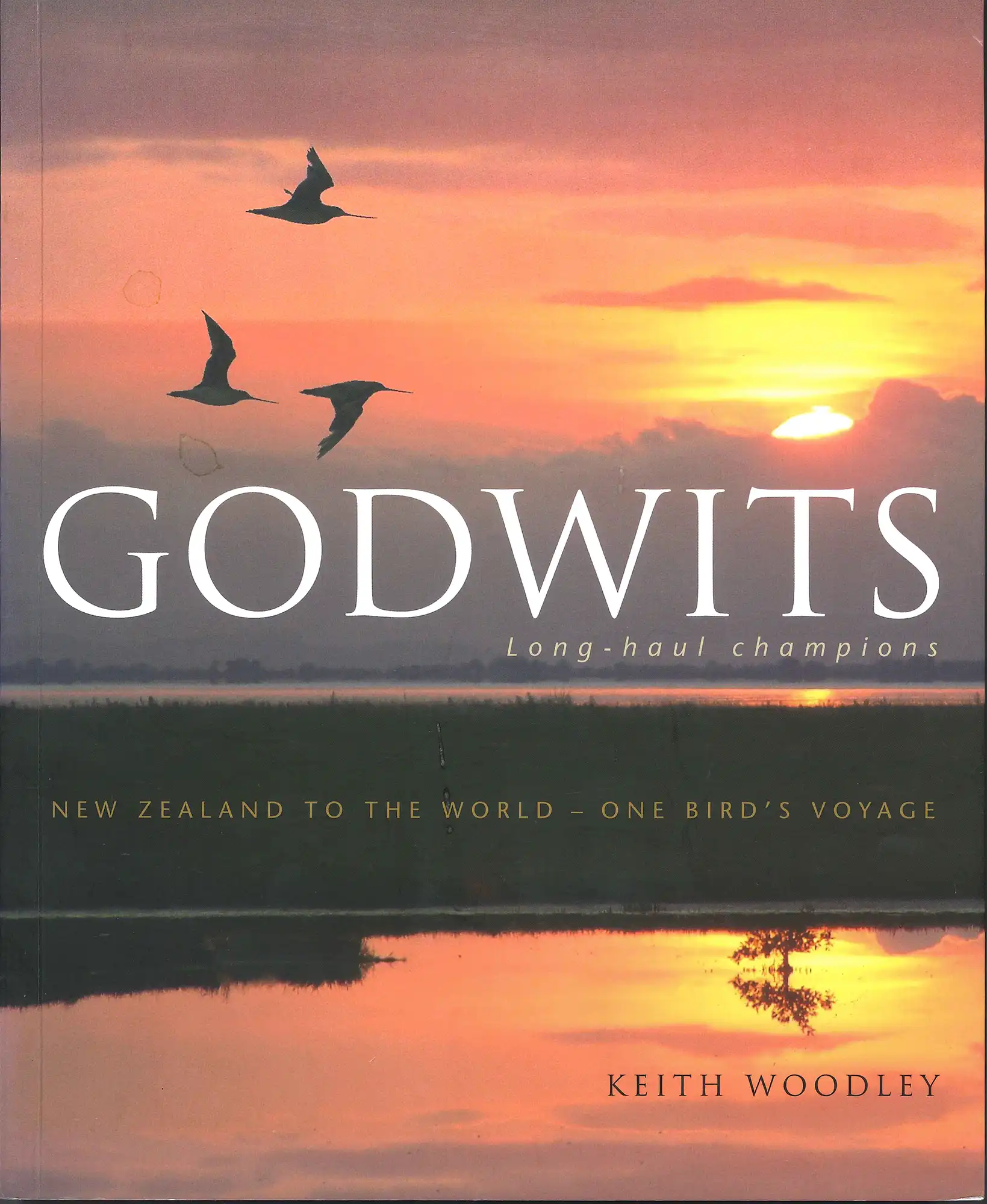 Keith Woodley, Godwits. Long-haul champions. Auckland: Raupo Penguin Group, 2009. SPRH 598.33 WOO