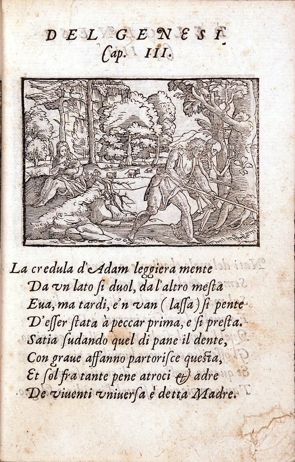 [Bible Selections in Italian]. <em>Gabriele Simeoni. Figure del Vecchio Testamento: illustrate di bellissime stanze volgari da Gabriel Simeoni.</em> Vinegia [Venice]: Nicolo Beuilaqua & Compagni, 1574.