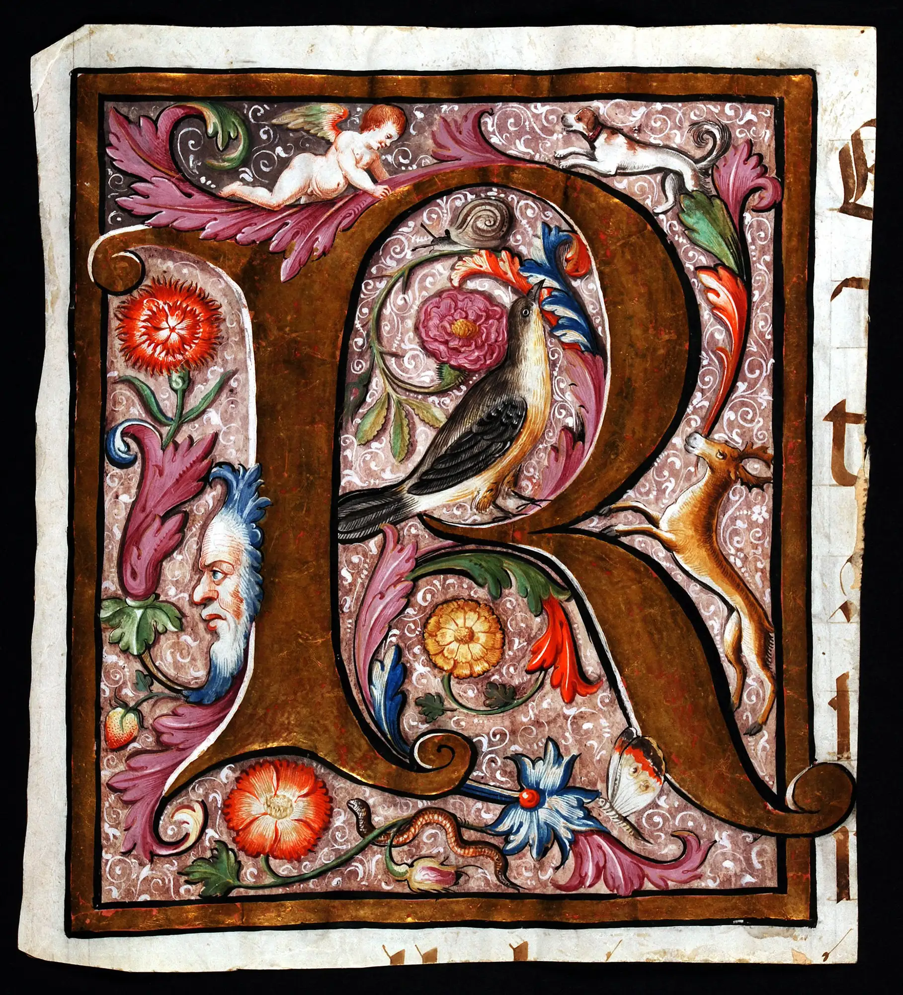 Single leaf from a Gradual, in Latin. Northern Europe, sixteenth century. Reed MSF37.