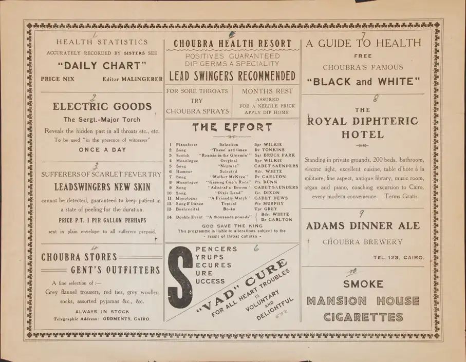 An Effort by the Positive Dips. Programme. Choubra Military Hospital, Cairo, Egypt, 27 May 1916 