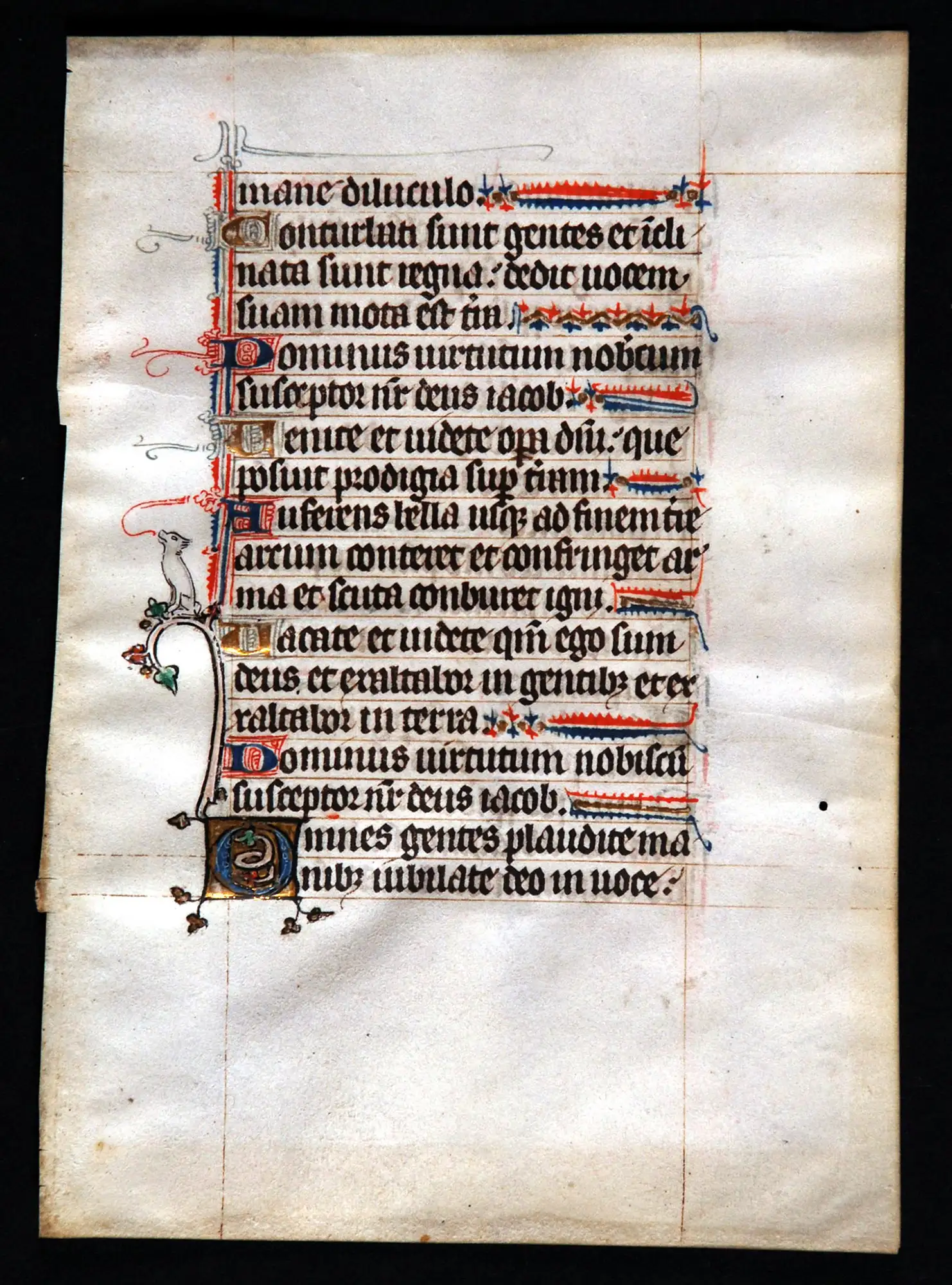 Single leaf from a Psalter, in Latin. France or Flanders, early fourteenth century. Reed MSF38.