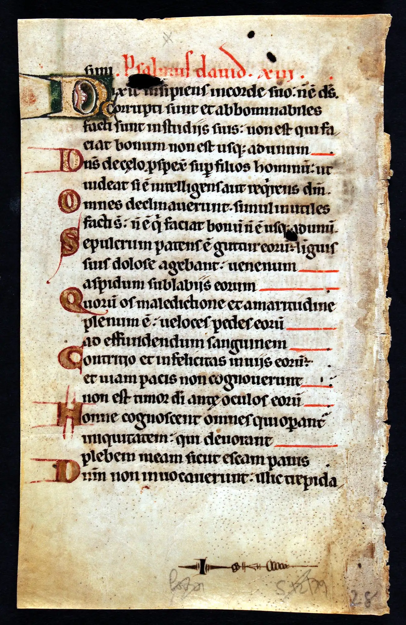 Single leaf from a Psalter, in Latin. Spain (possibly Seville), late thirteenth century. Reed MSF44.