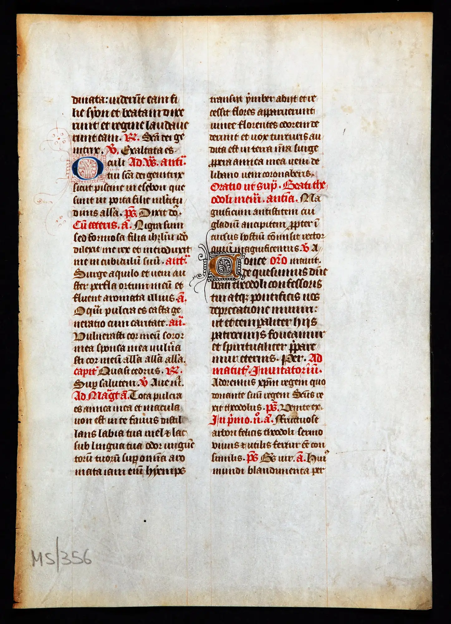 Single leaf from a Breviary in Latin. France (perhaps Eastern France), ca. 1400. Reed MSF15.