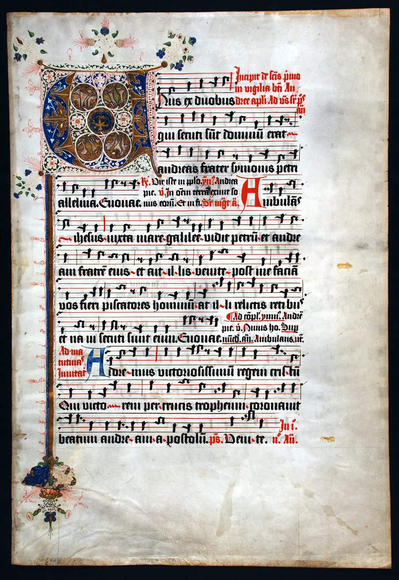 Single leaf from an Antiphonal in Latin. Germany, fifteenth century. Reed MSF28.