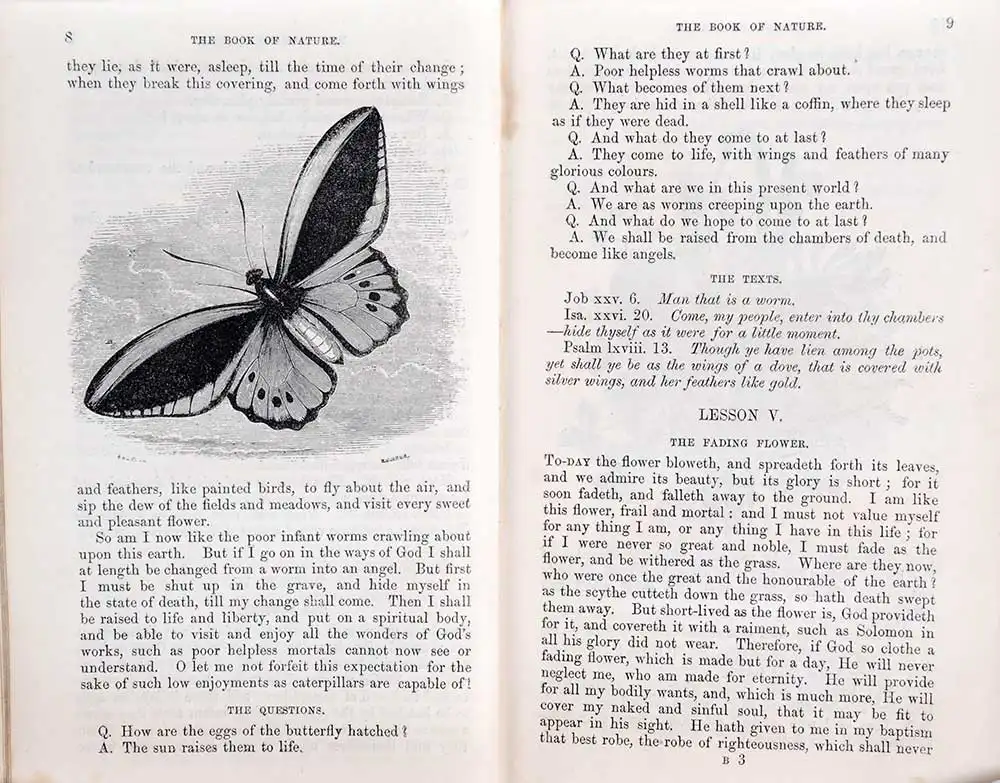 William Jones. <em>The book of nature: or, the true sense of things explained and made easy to the capacities of children.</em> London: Society for Promoting Christian Knowledge, 1845. 