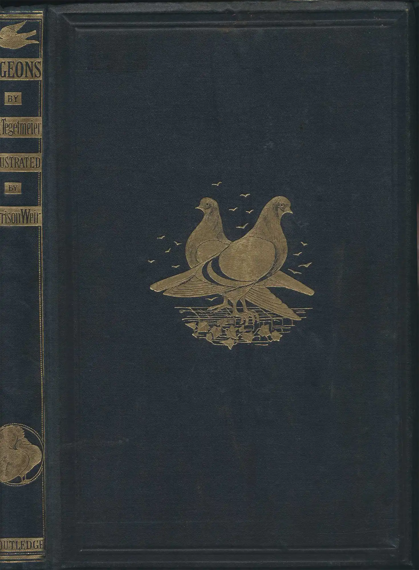 W.B. Tegetmeier. Pigeons: their structure, varieties, habits, and management. London: Routledge, 1868.