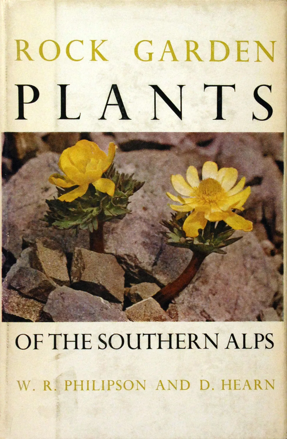 W. R. Philipson and D. Hearn. Rock Garden Plants of the Southern Alps. <i>Christchurch: The Caxton Press, 1962.</i>